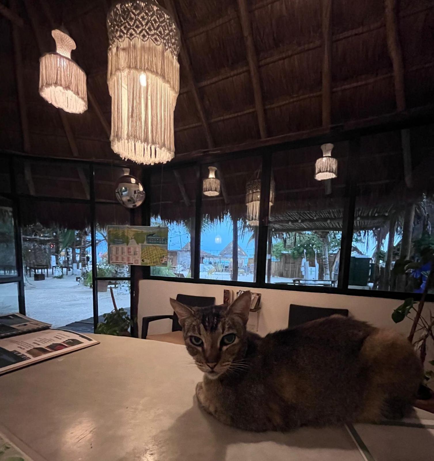 La Diosa Kali Beach Front Hotel Isla Holbox Екстериор снимка